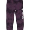 Volcom Kids Iconic Stone Plus Fleece Pants (Toddler/Little Kids)